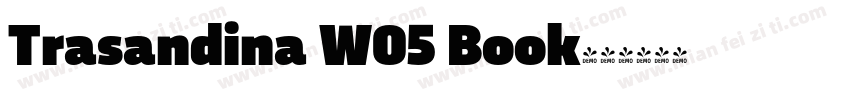 Trasandina W05 Book字体转换